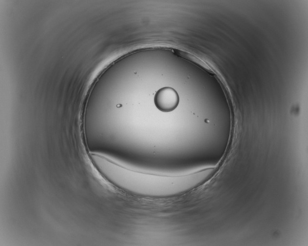 X0000115441197200911181516