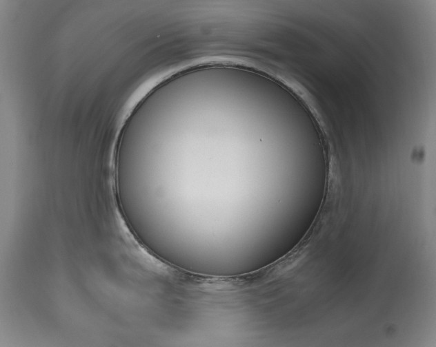 X0000115441199200911181516