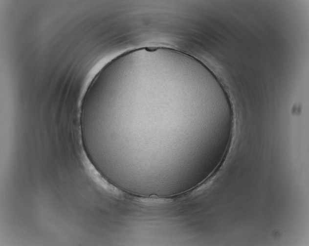 X0000115441200200911181516