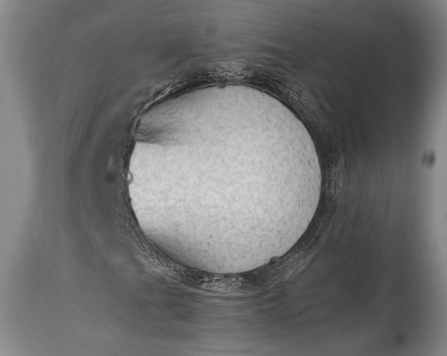X0000115441201200911181516