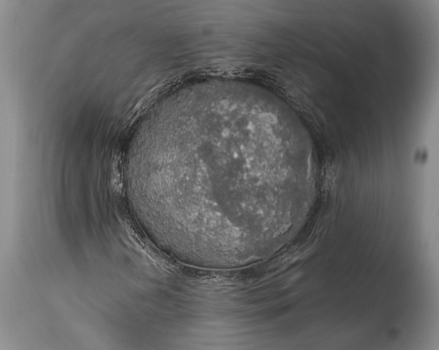X0000115441202200911181516