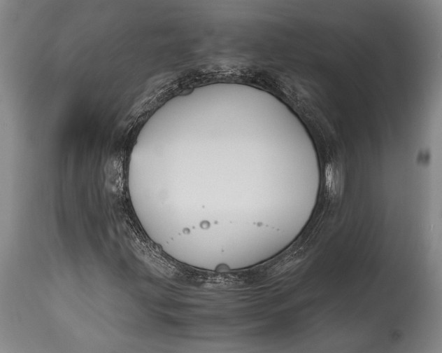 X0000115441203200911181516