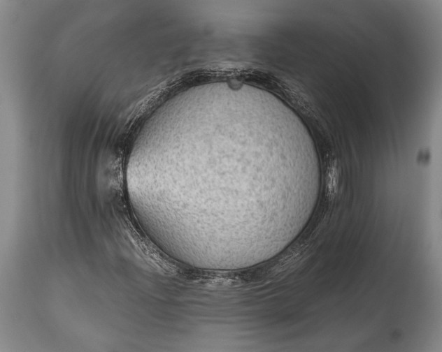 X0000115441204200911181516
