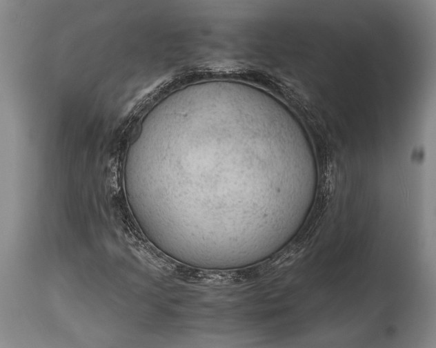 X0000115441205200911181516