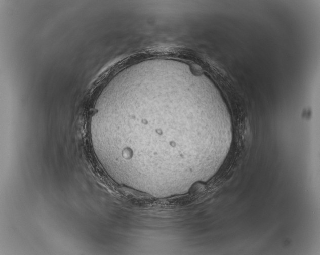 X0000115441206200911181516