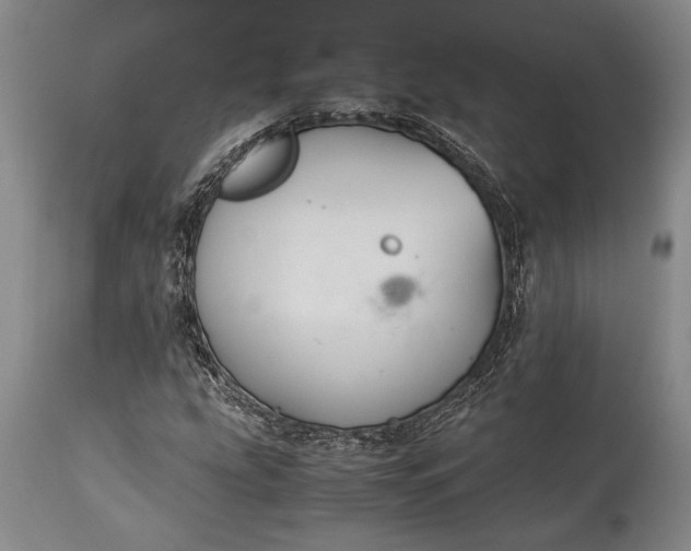 X0000115441207200911181516