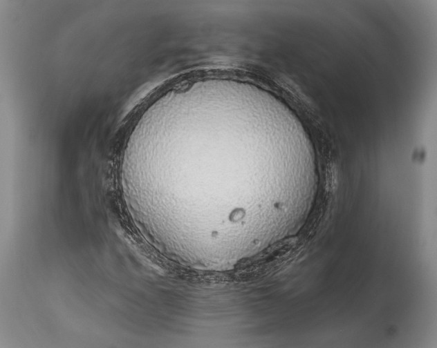 X0000115441208200911181516