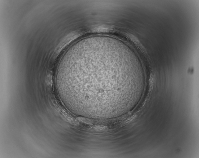 X0000115441209200911181516
