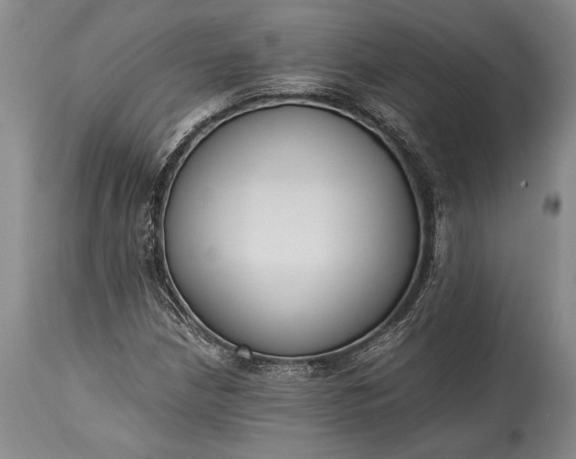 X0000115441210200911181516