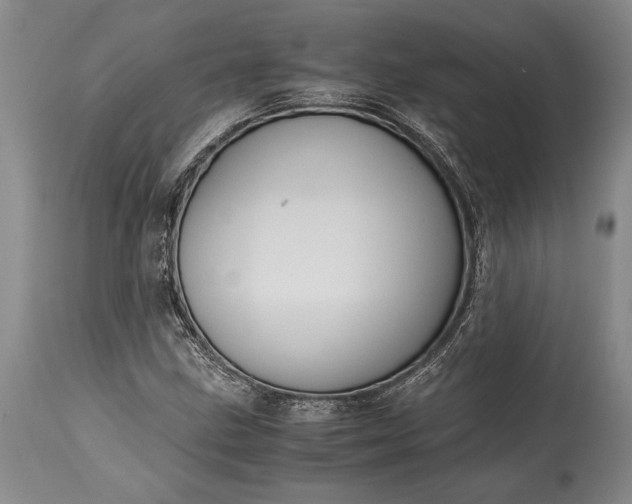 X0000115441211200911181516