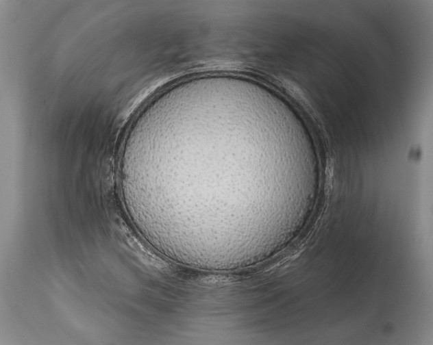 X0000115441212200911181516