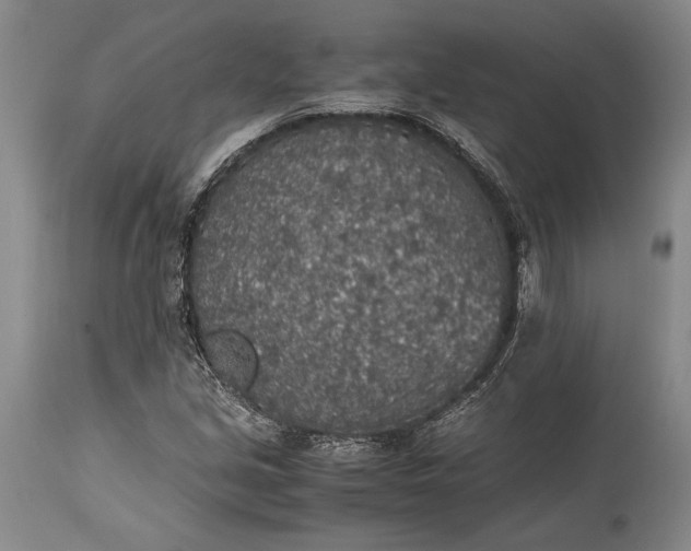 X0000115441213200911181516