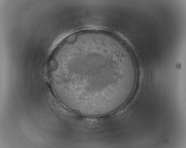 X0000115441215200911181516