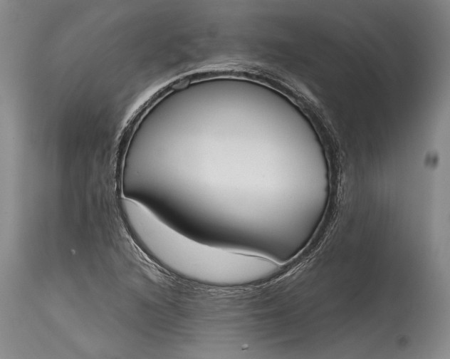 X0000115441216200911181516