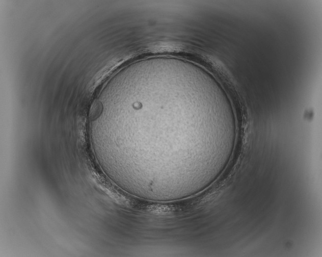 X0000115441217200911181516