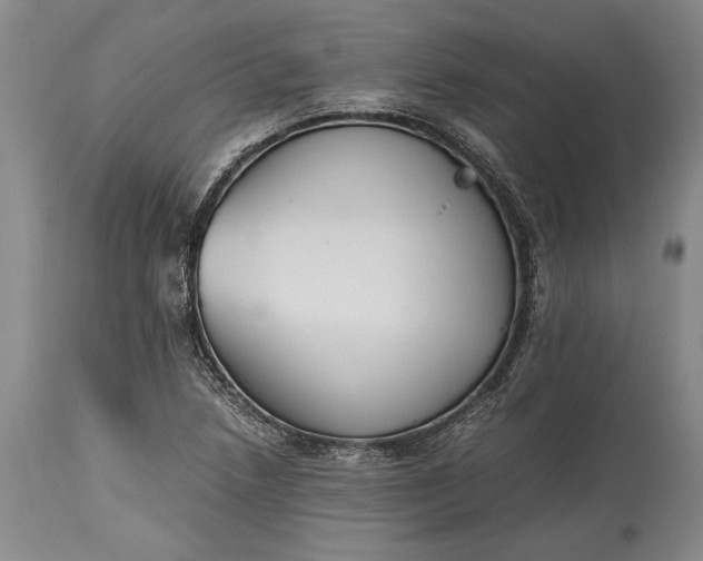 X0000115441218200911181516