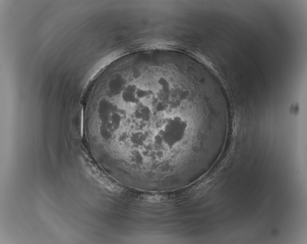 X0000115441219200911181516