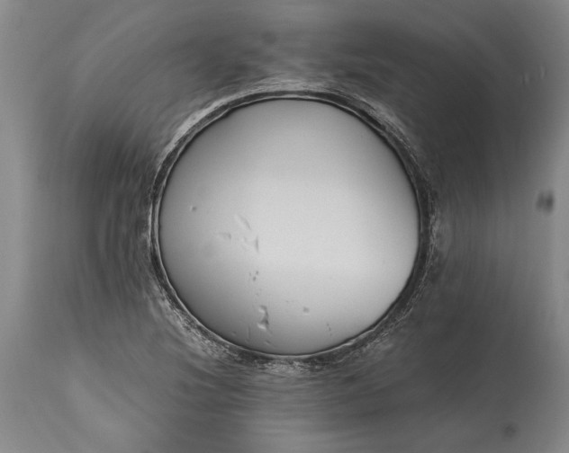 X0000115441220200911181516