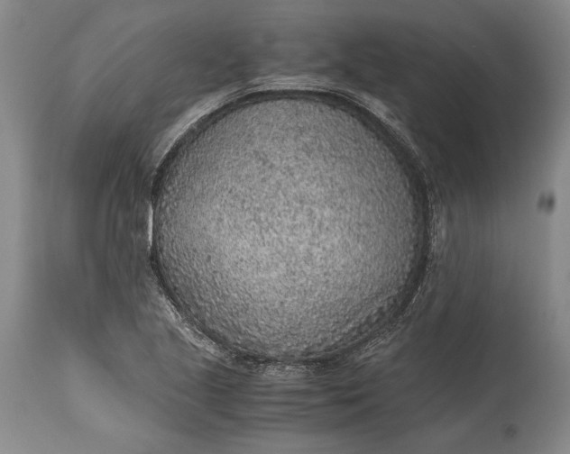 X0000115441221200911181516