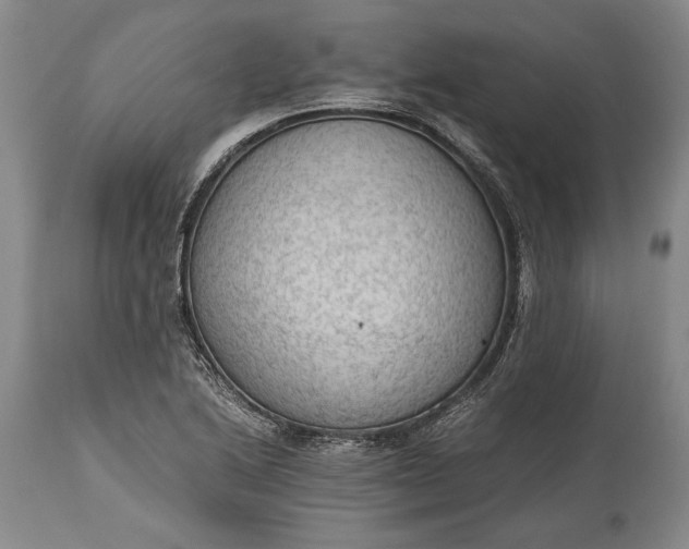 X0000115441222200911181516