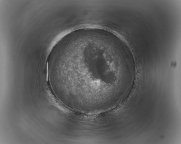 X0000115441223200911181516
