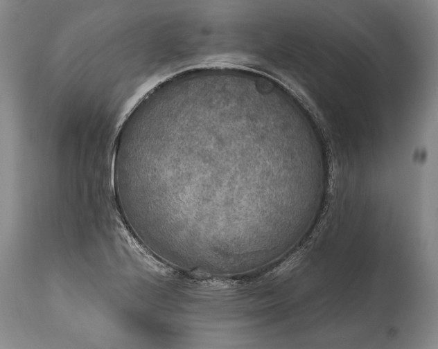 X0000115441224200911181516