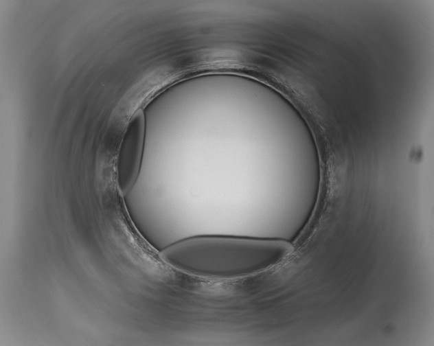 X0000115441225200911181516