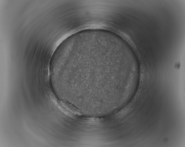 X0000115441226200911181516