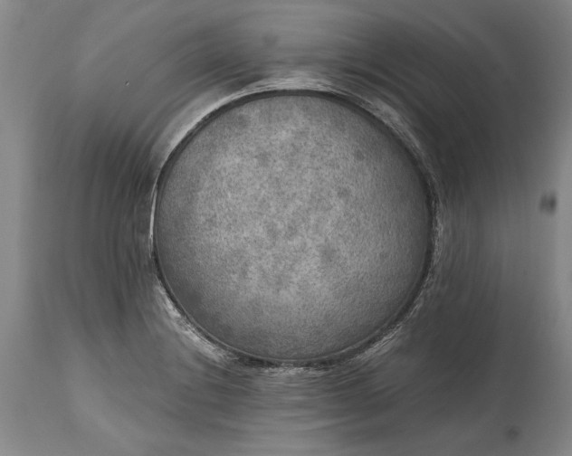 X0000115441228200911181516