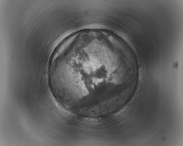 X0000115441229200911181516