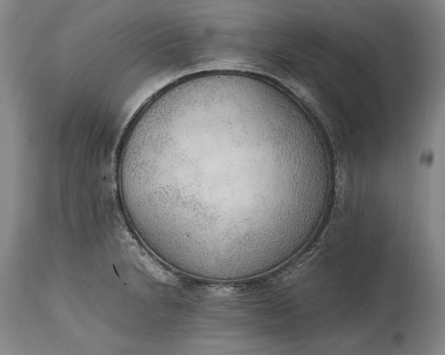 X0000115441230200911181516