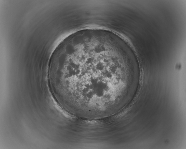 X0000115441231200911181516
