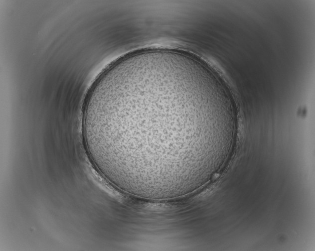 X0000115441232200911181516