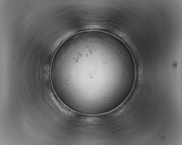 X0000115441233200911181516