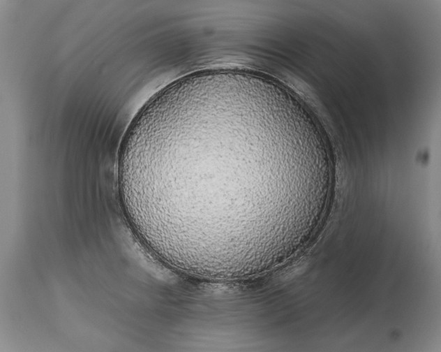 X0000115441234200911181516