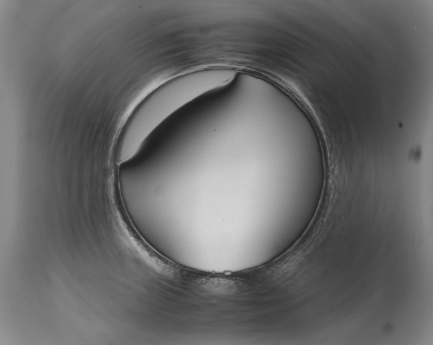 X0000115441235200911181516
