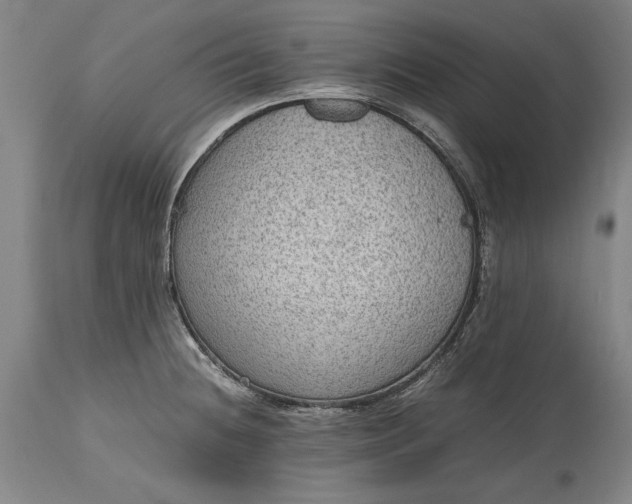 X0000115441236200911181516