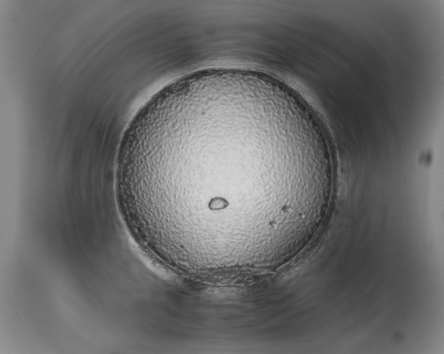 X0000115441237200911181516