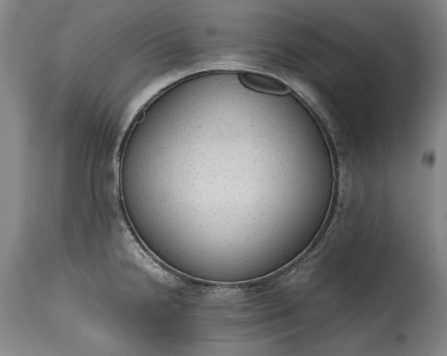 X0000115441238200911181516