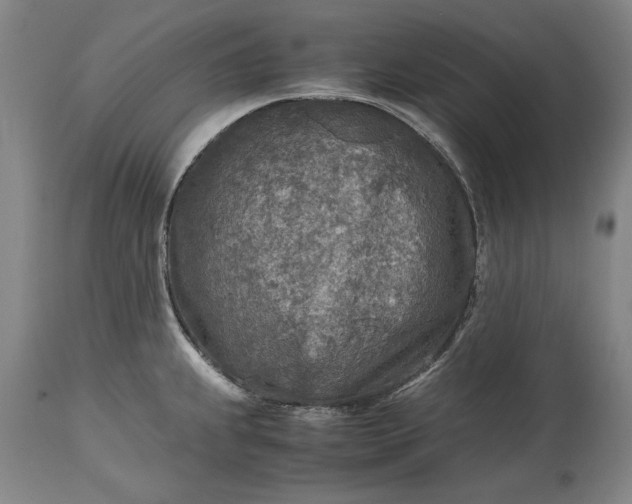 X0000115441239200911181516