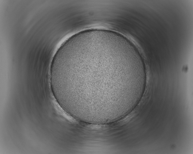 X0000115441240200911181516