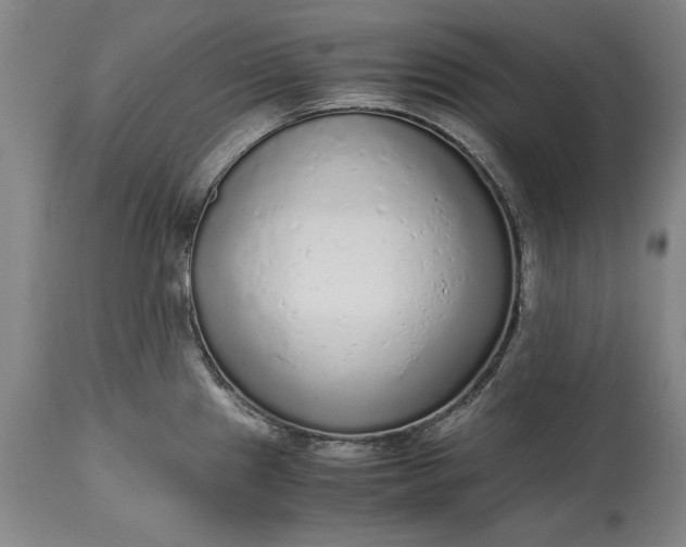 X0000115441241200911181516