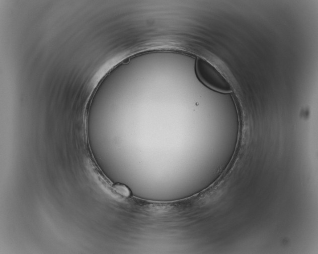 X0000115441242200911181516