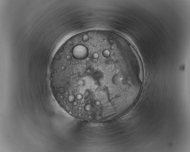 X0000115441243200911181516