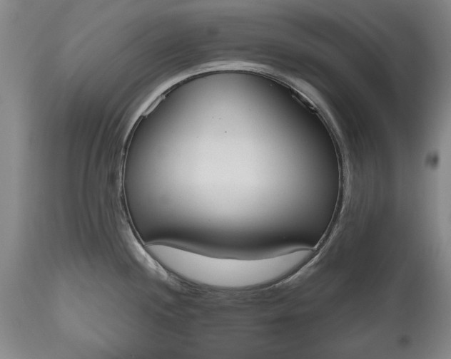 X0000115441244200911181516