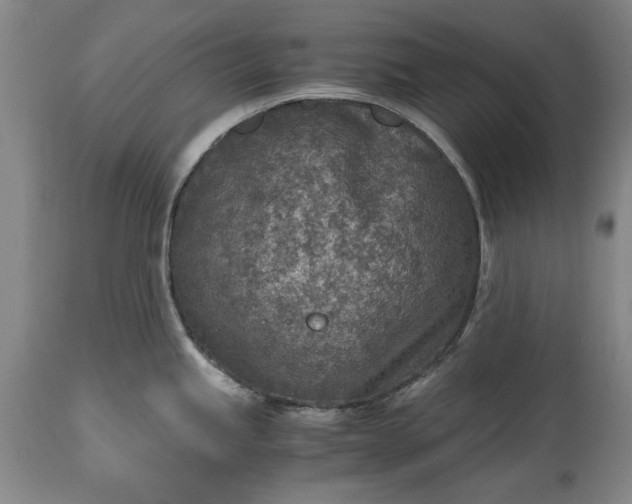 X0000115441245200911181516