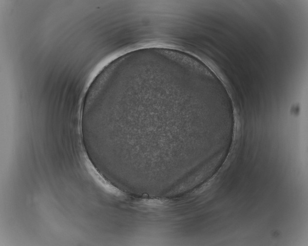 X0000115441246200911181516