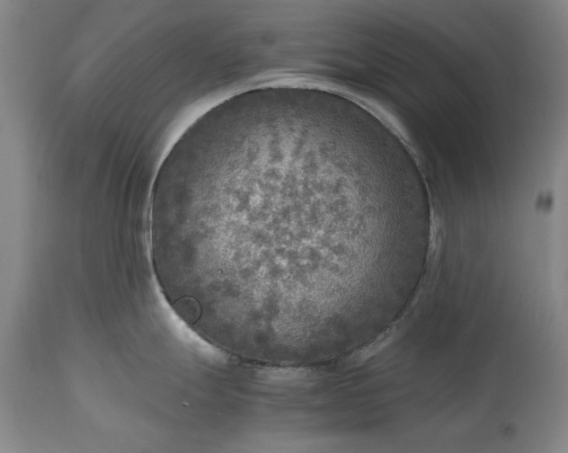 X0000115441247200911181516