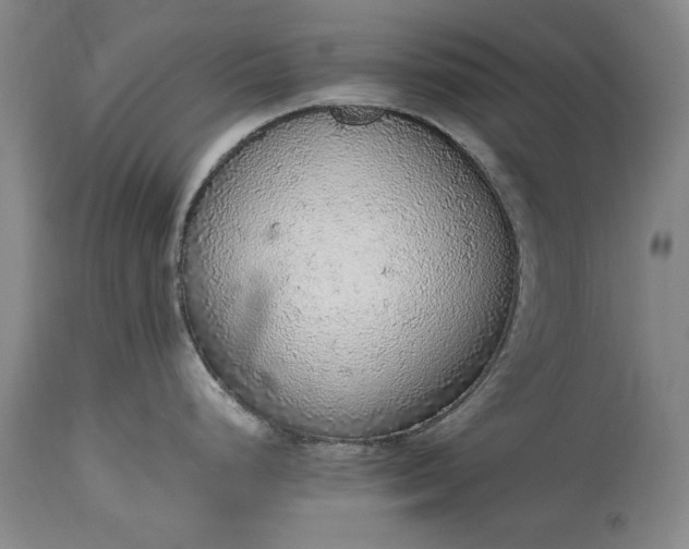X0000115441248200911181516