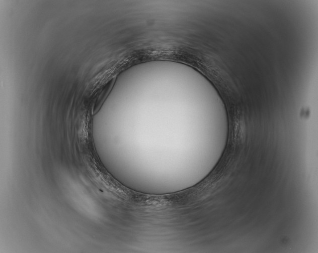 X0000115441250200911181516